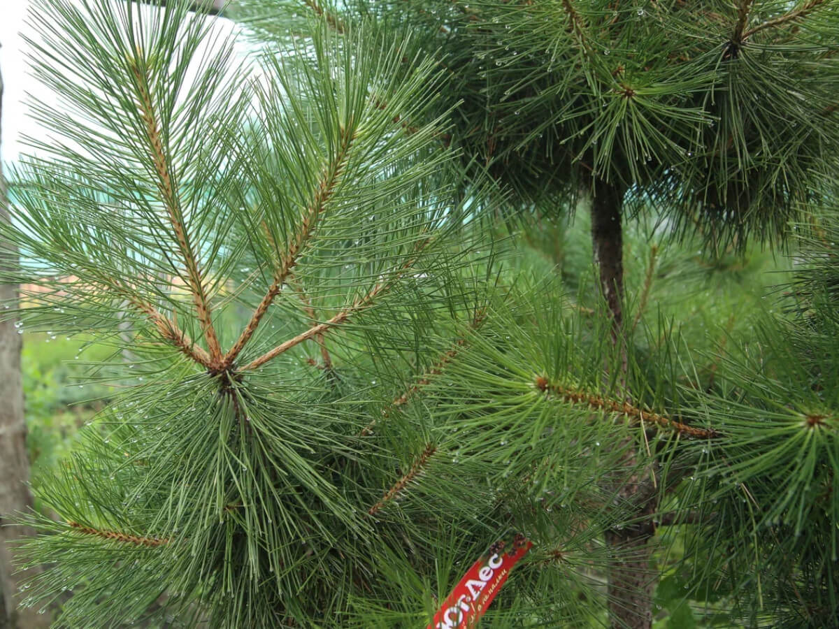 gallery-about-3