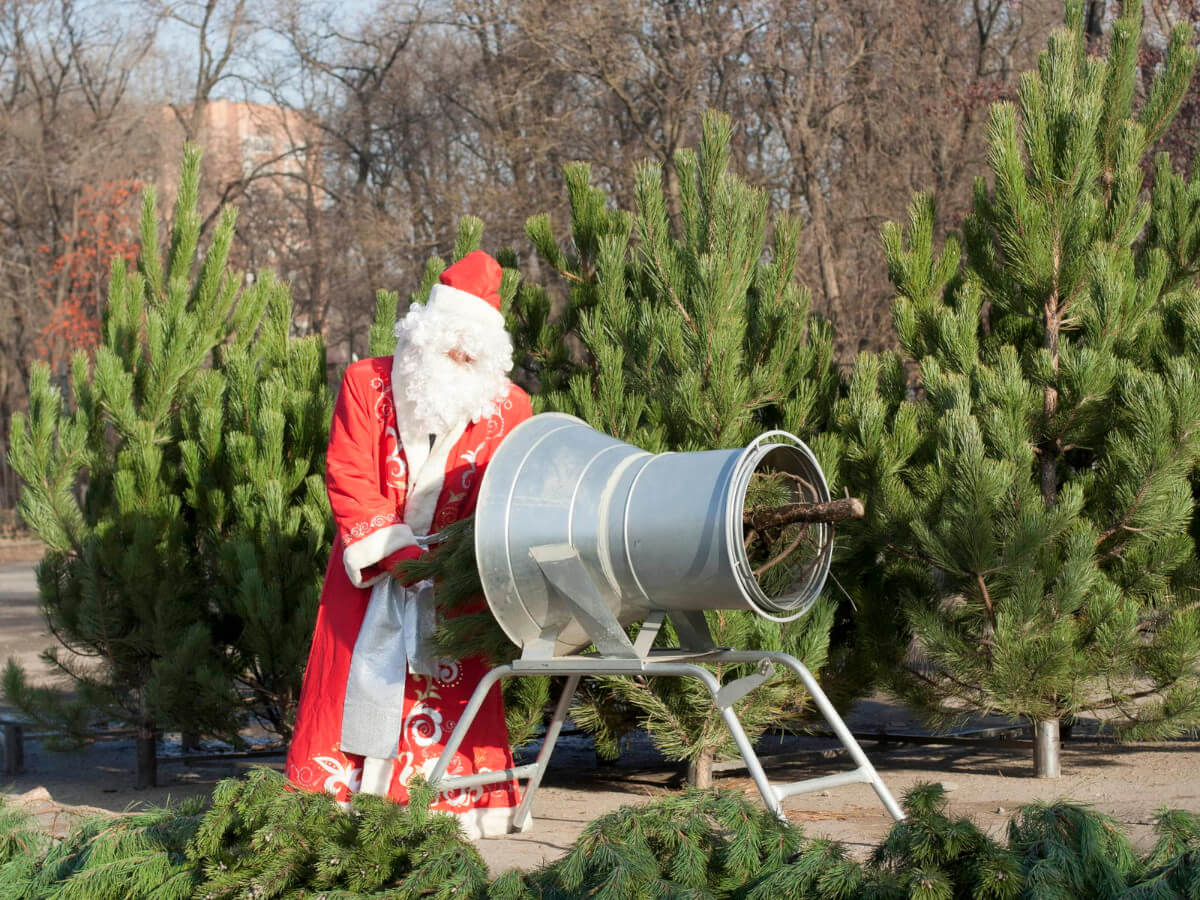 yugles2008-dedmoroz img 3333