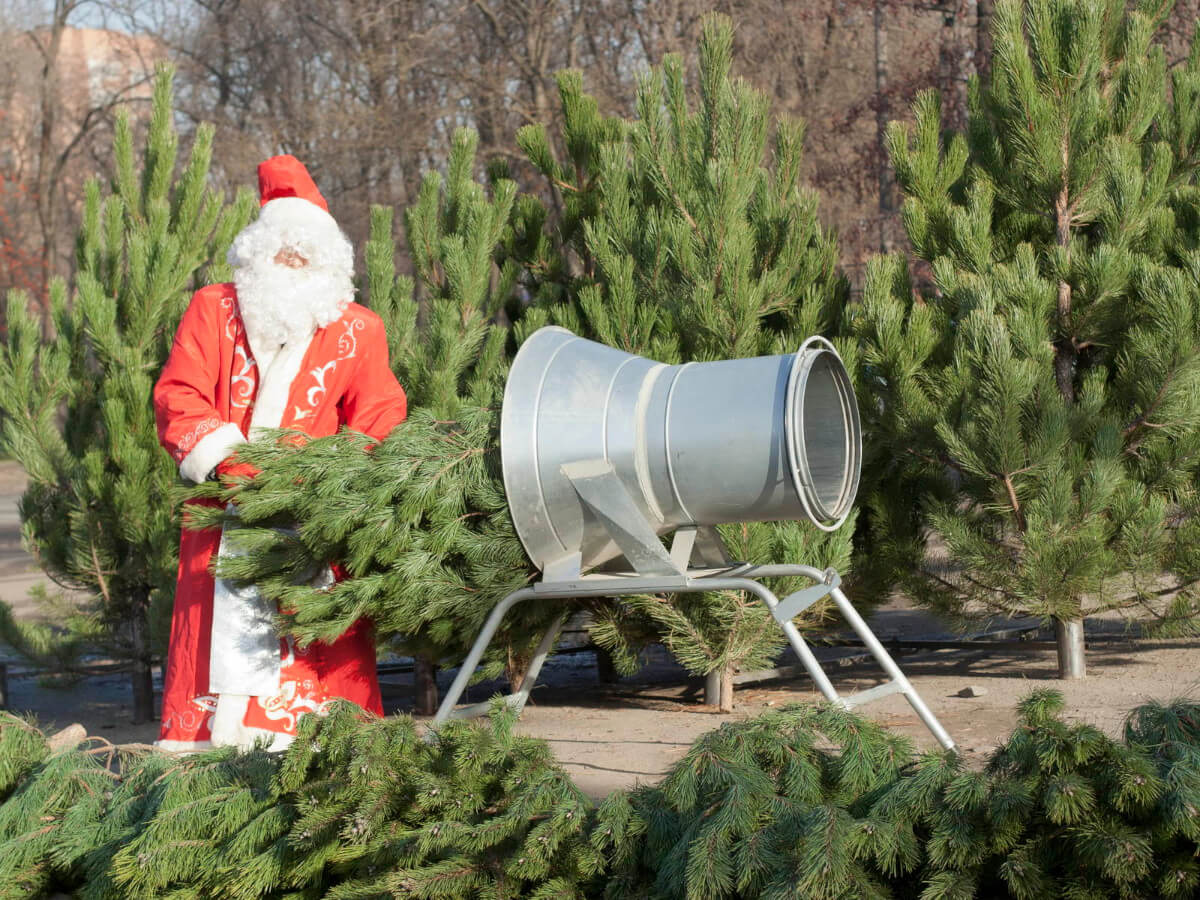 yugles2008-dedmoroz img 3341