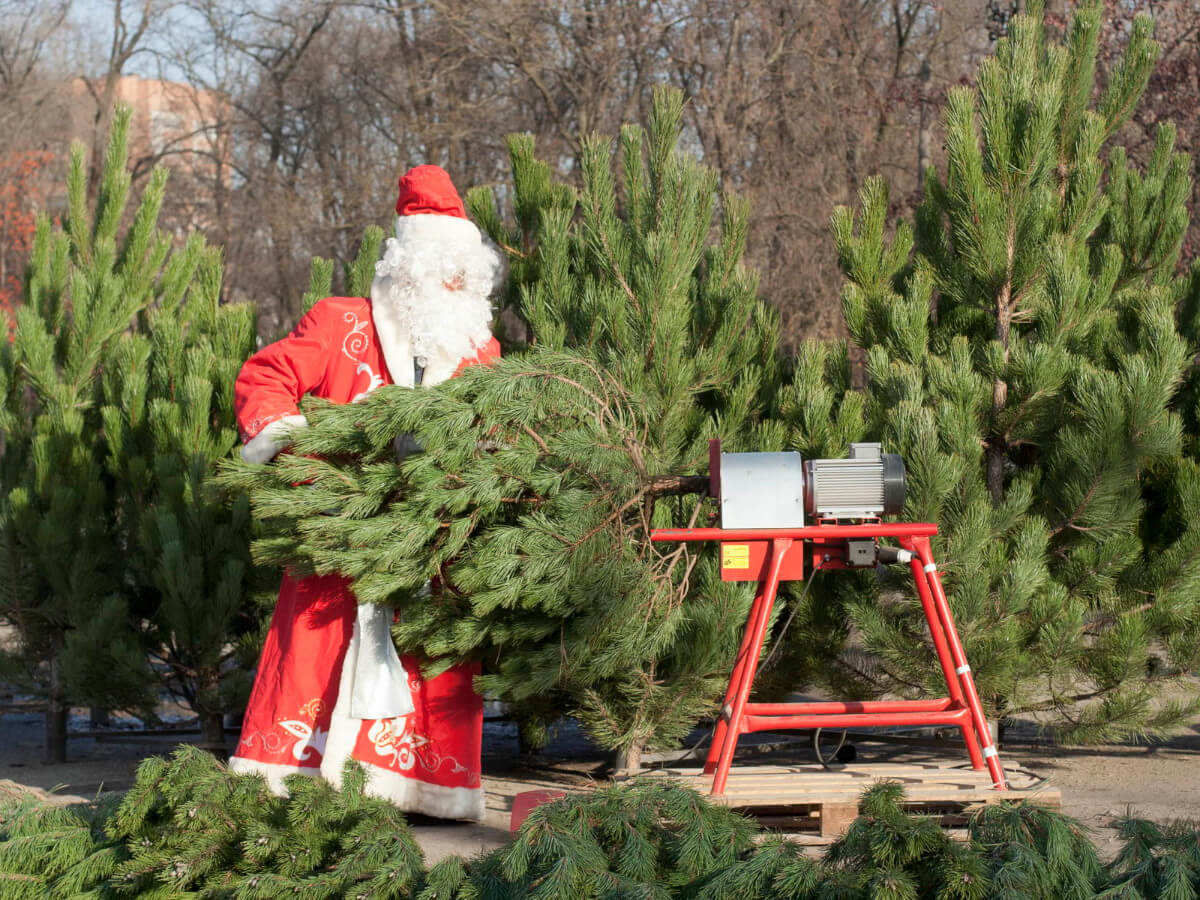 yugles2008-dedmoroz img 3349