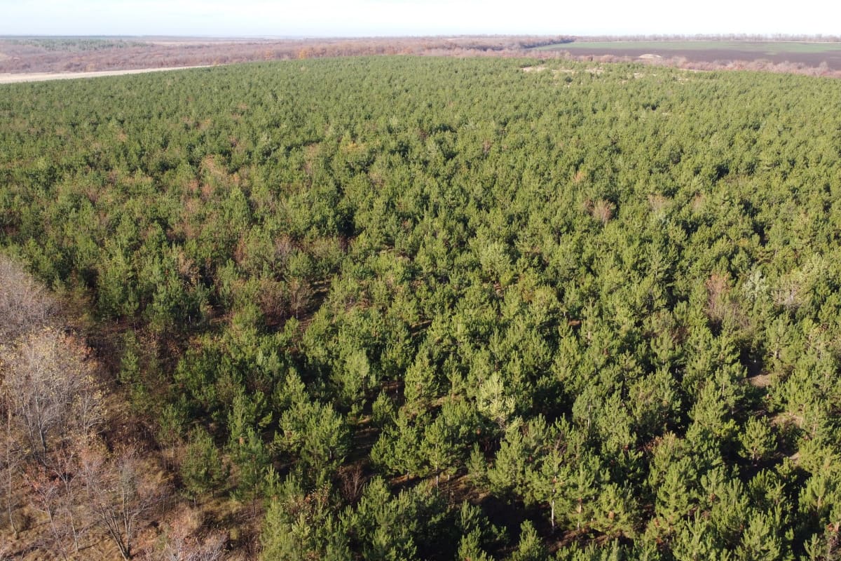 DJI 0008 1200x800