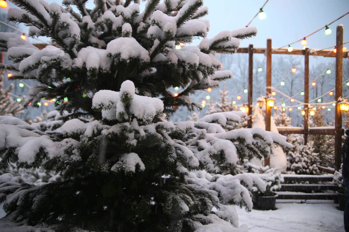 yug-les 2021 IMG 2809
