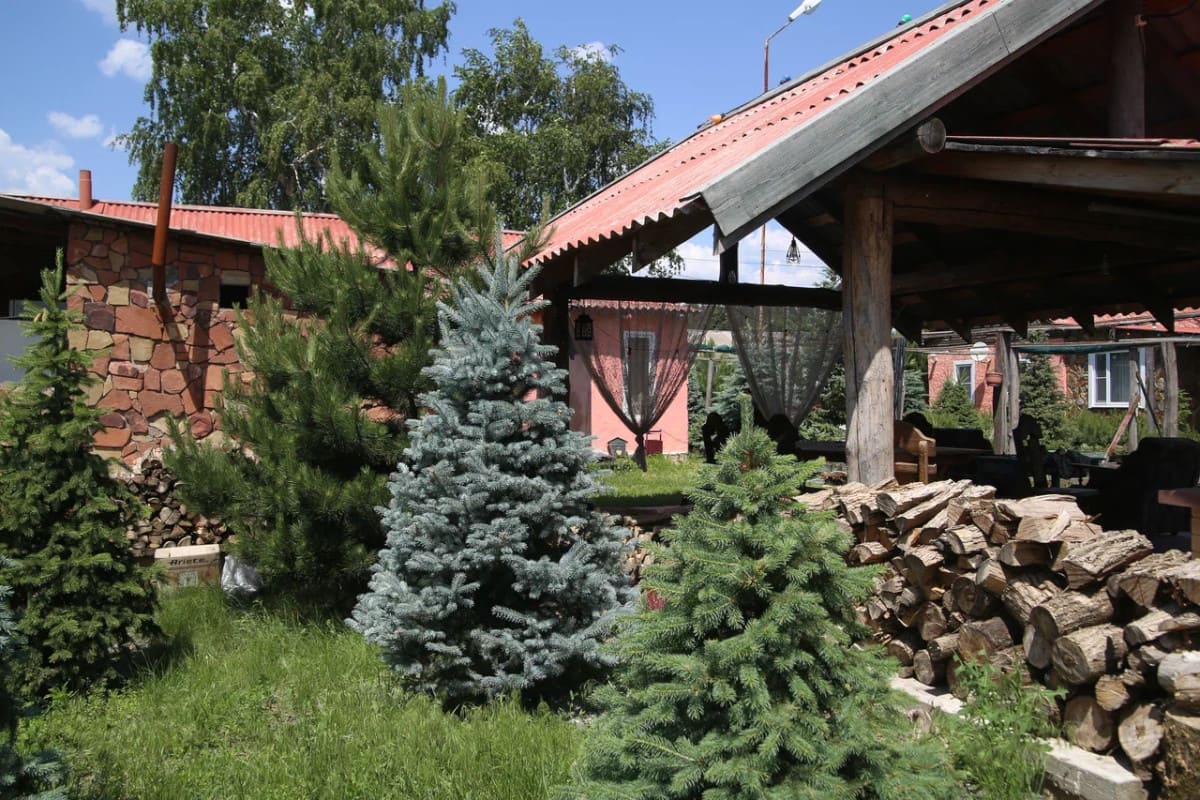 IMG 0062