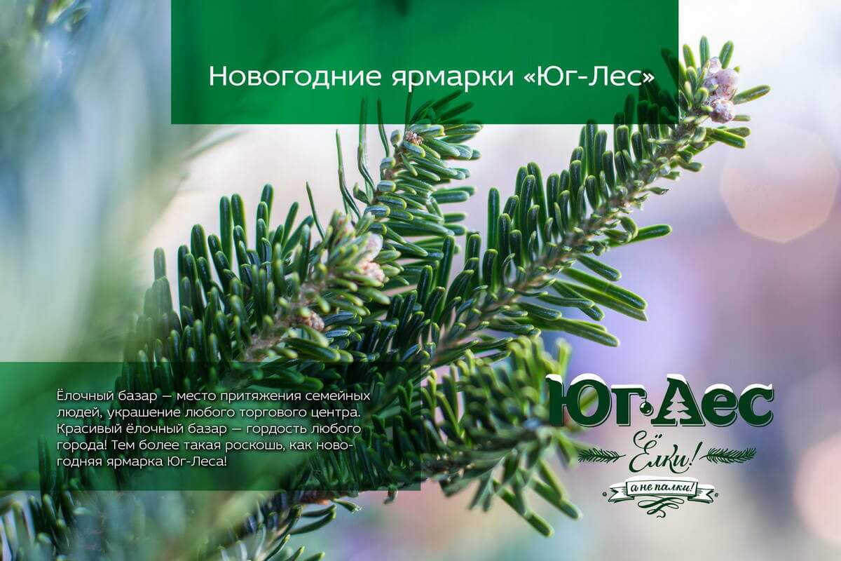 Страница 01
