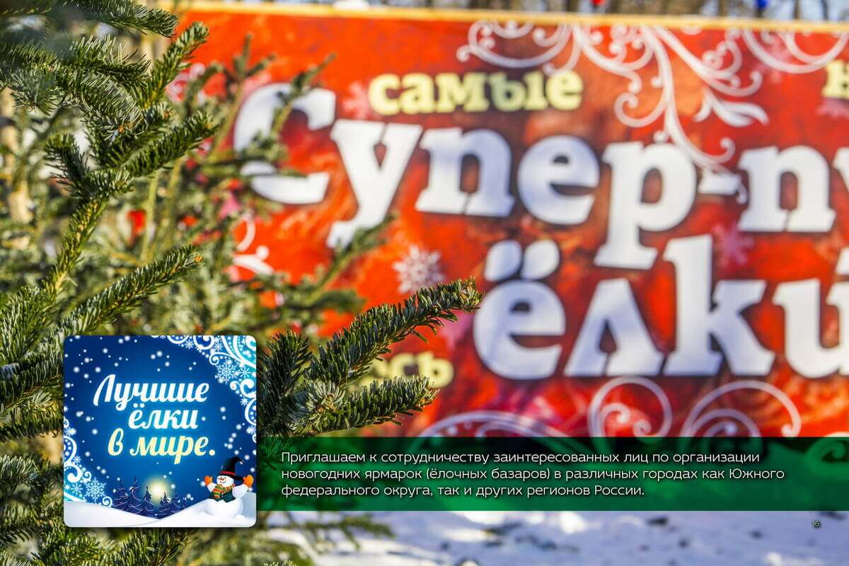 Страница 16