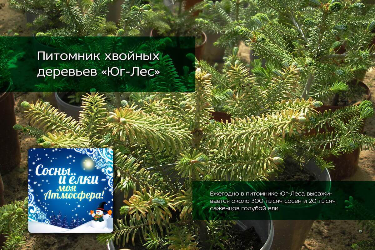 Страница 18