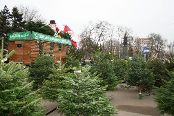 Фотогалерея 2006