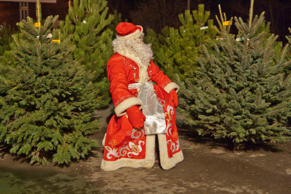 Фотогалерея 2007