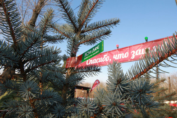 Фотогалерея 2013 год